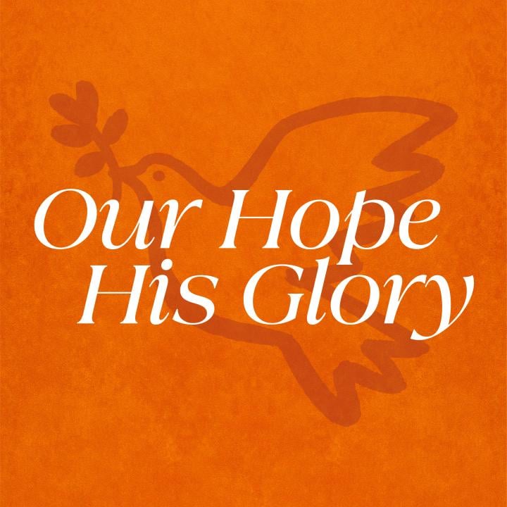 dove with a olive branch on an orange background