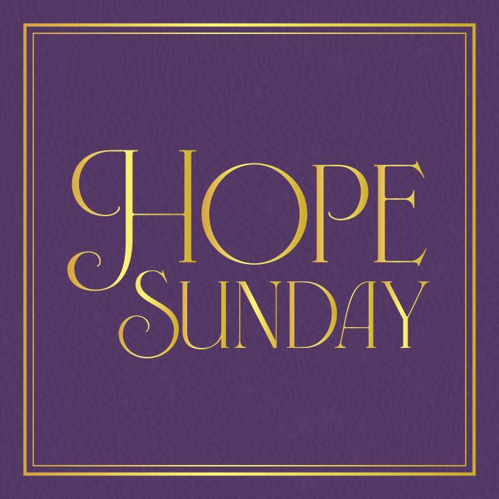 purple leather book cover with hope sunday written across in gold