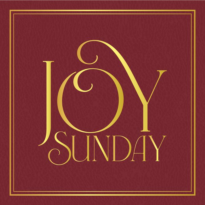 red leather book cover with Joy Sunday written across in gold
