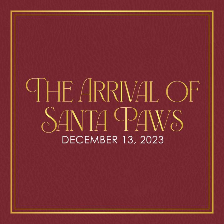 red leather book cover with the arrival of santa paws written across in gold