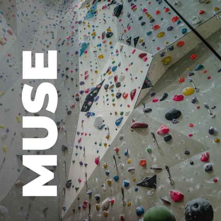 picture of a rock climbing wall