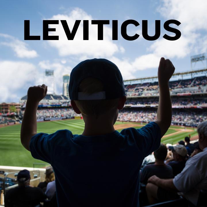 child cheering on a baseball game