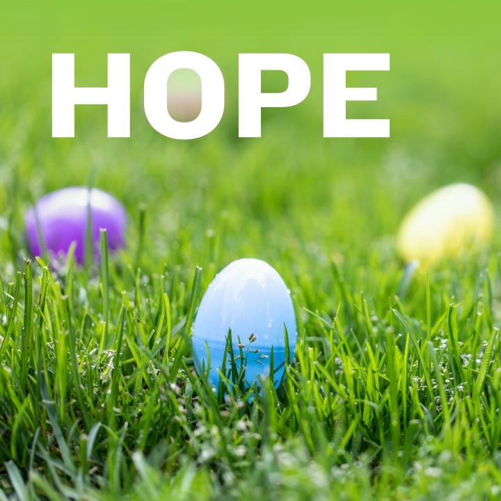 easter egg in a bed of grass